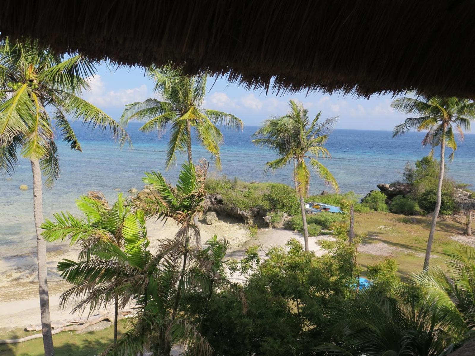 The Wild Orchid Resort - Moalboal Esterno foto