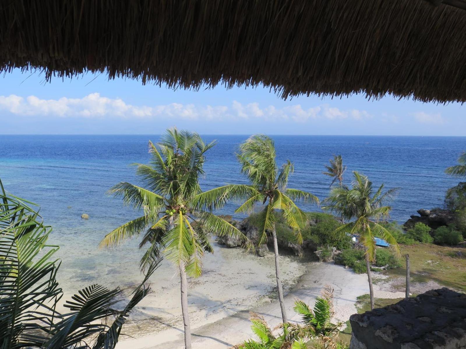 The Wild Orchid Resort - Moalboal Esterno foto