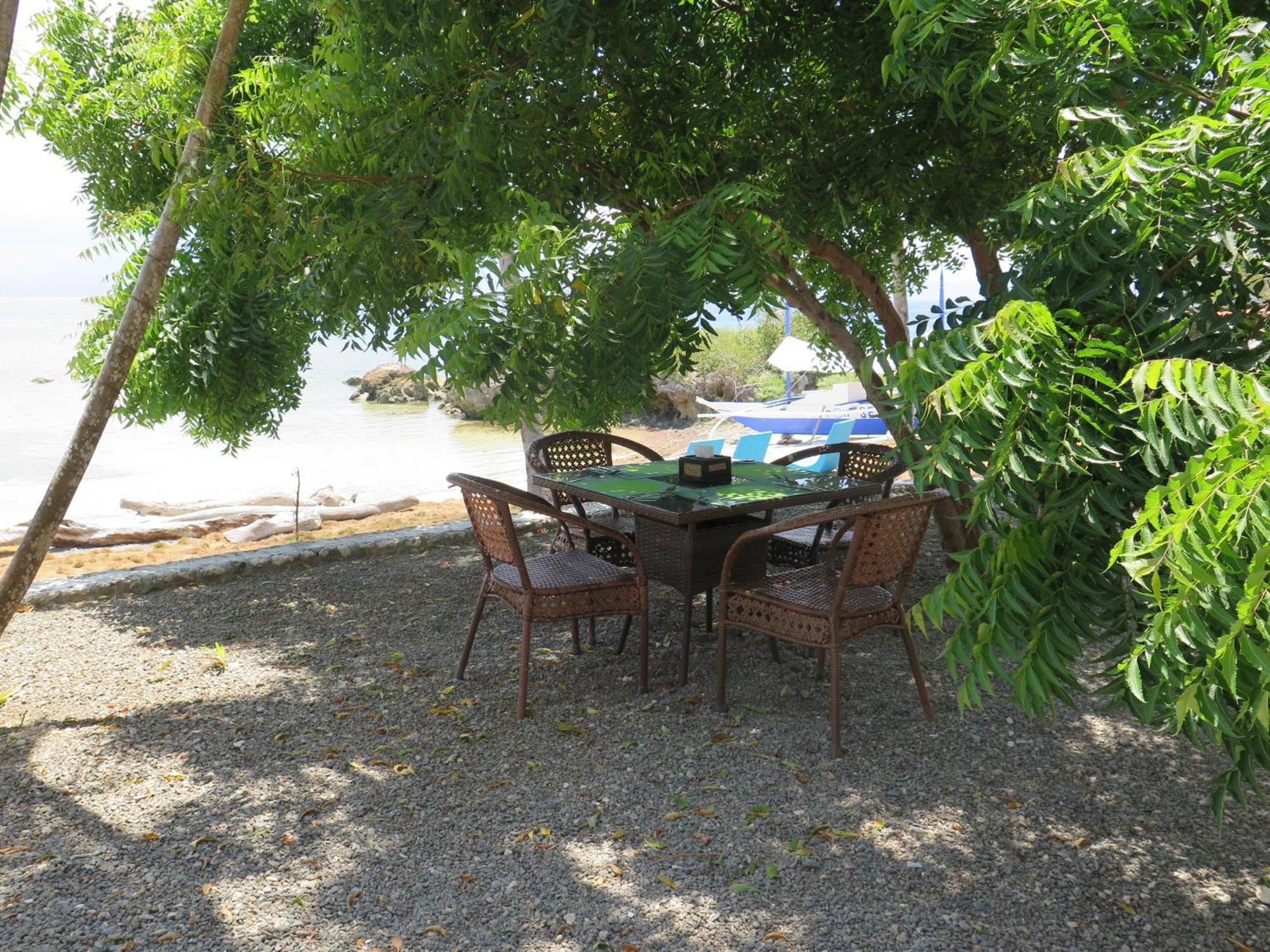 The Wild Orchid Resort - Moalboal Esterno foto