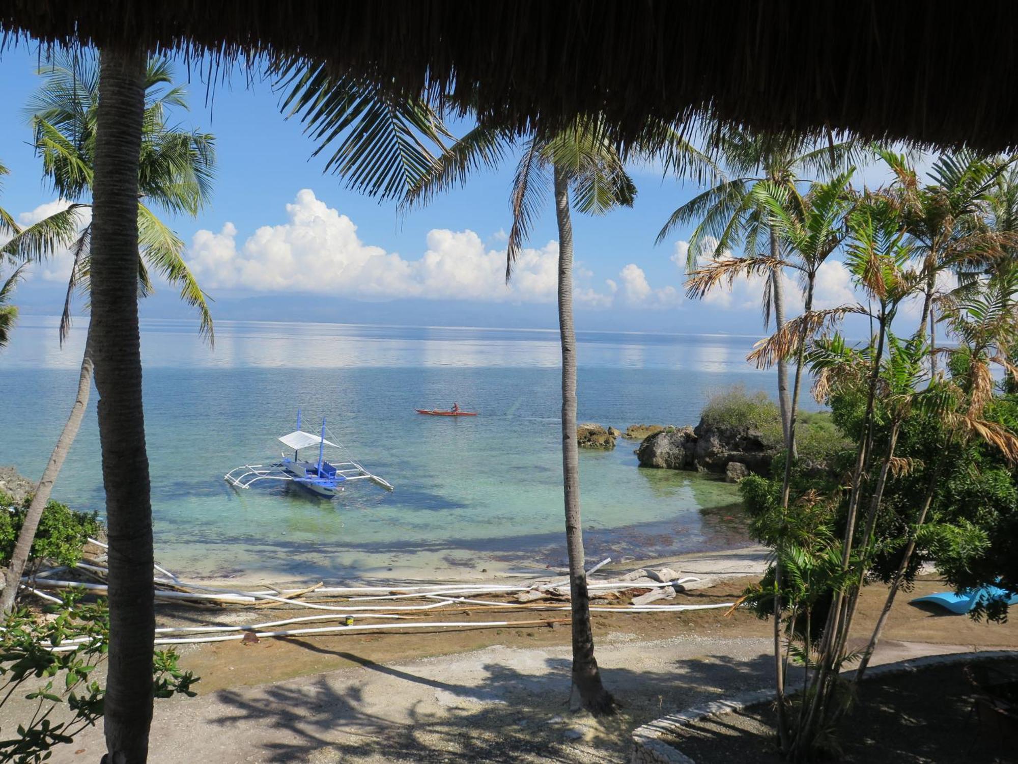 The Wild Orchid Resort - Moalboal Esterno foto