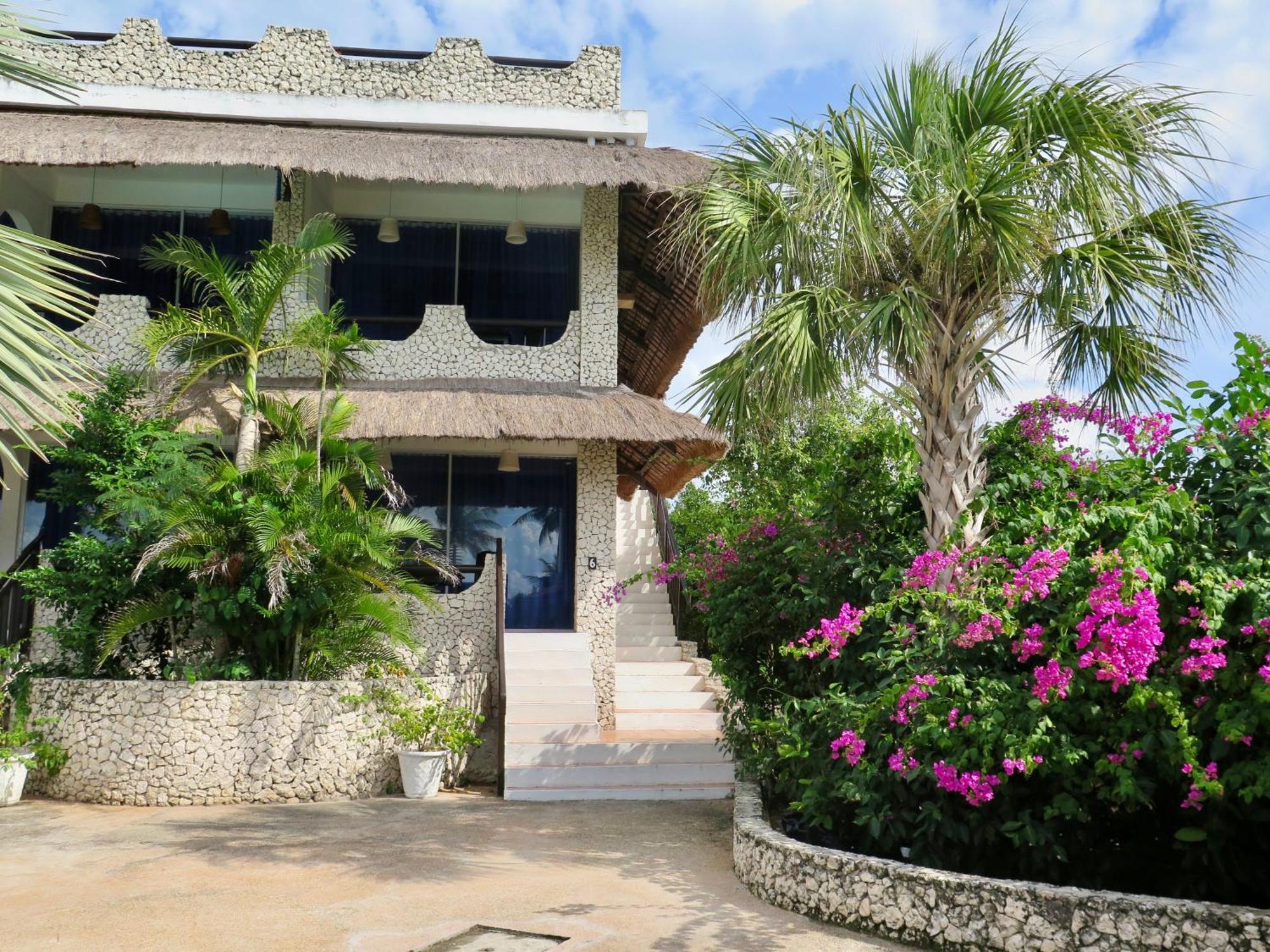 The Wild Orchid Resort - Moalboal Esterno foto
