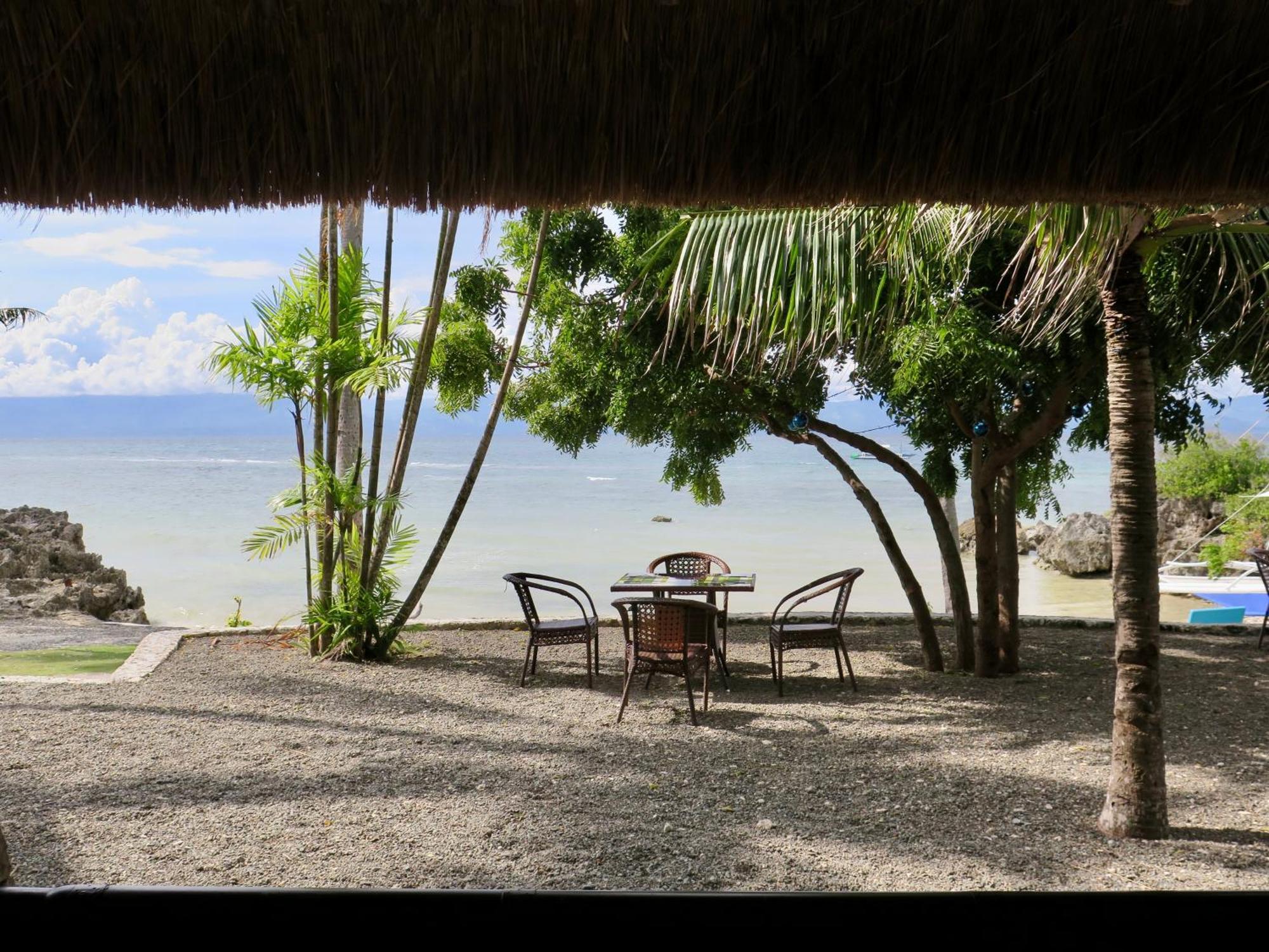 The Wild Orchid Resort - Moalboal Esterno foto