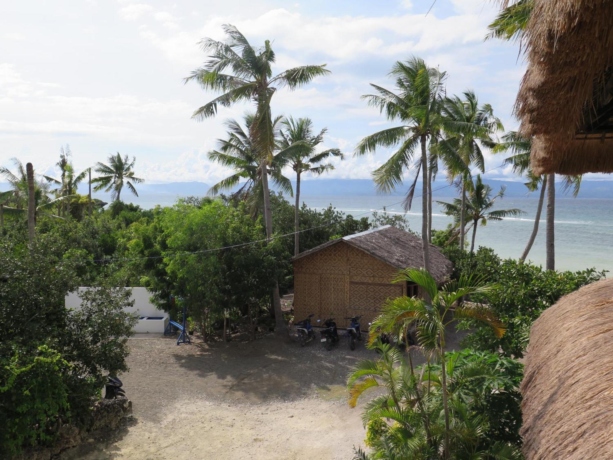 The Wild Orchid Resort - Moalboal Esterno foto