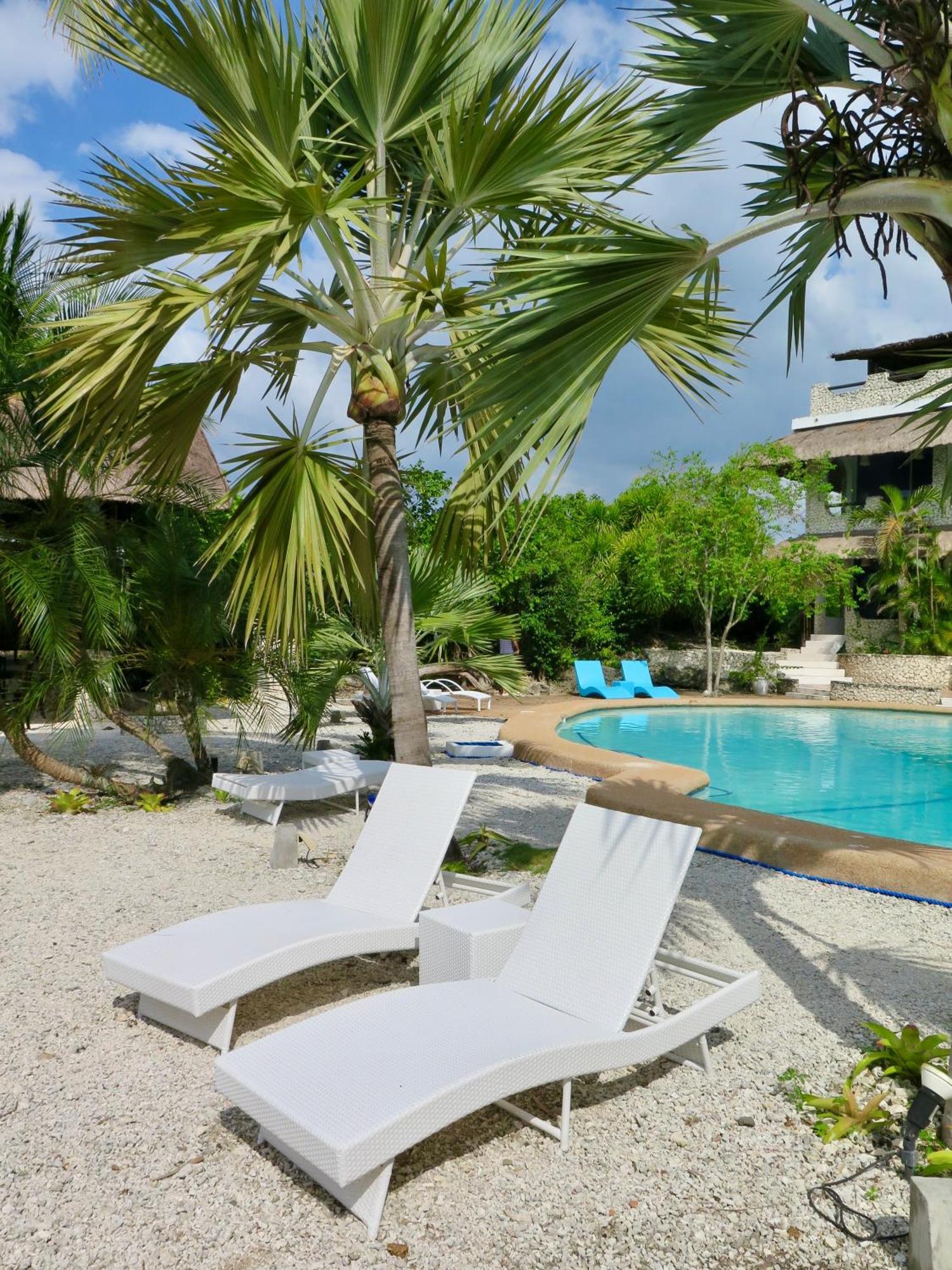The Wild Orchid Resort - Moalboal Esterno foto