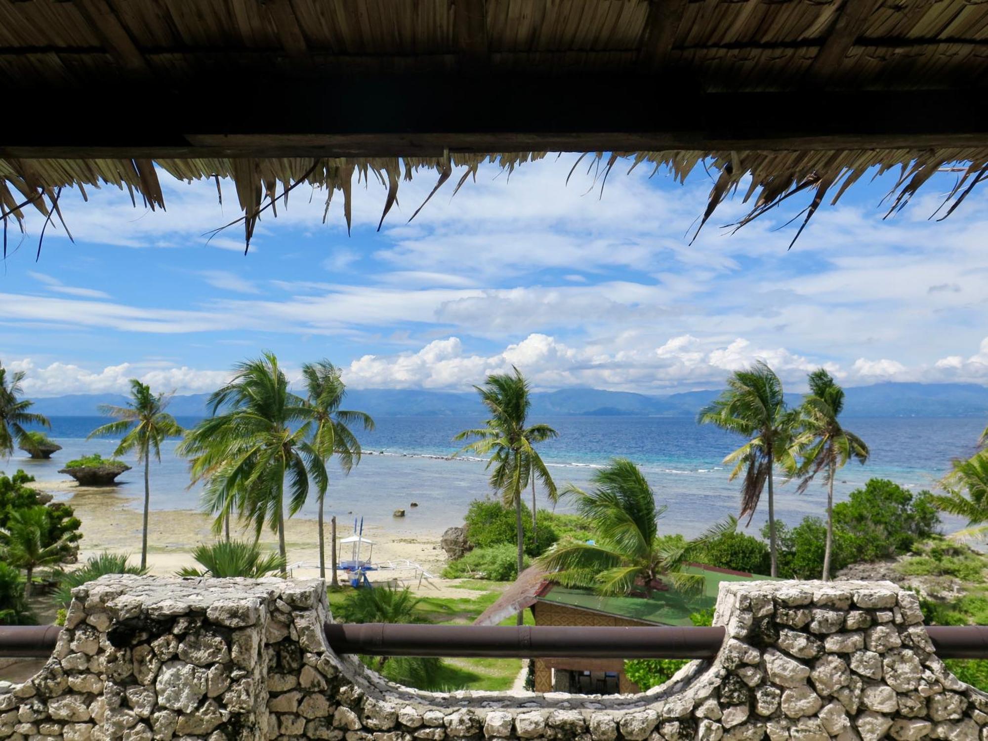 The Wild Orchid Resort - Moalboal Esterno foto