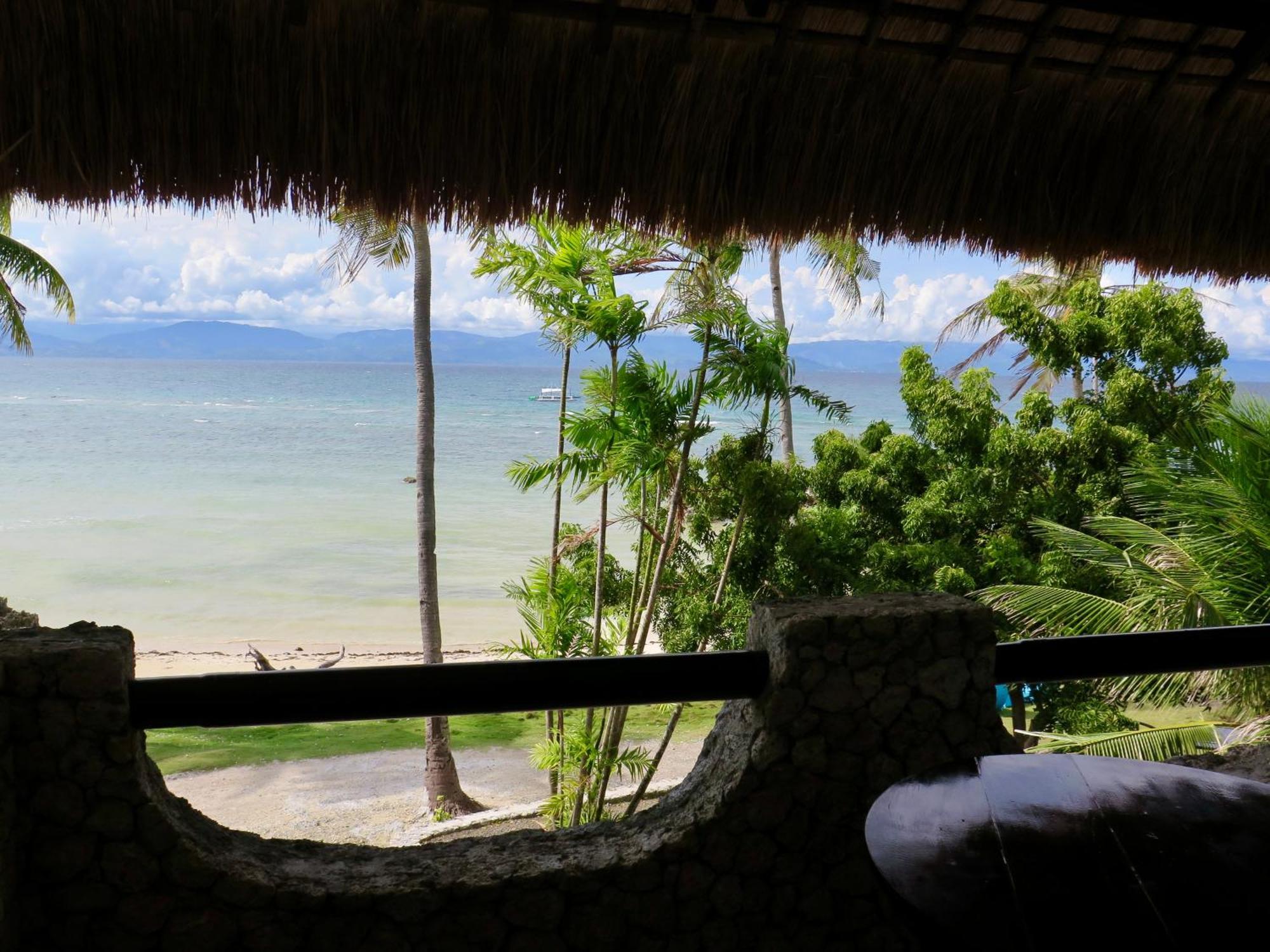 The Wild Orchid Resort - Moalboal Esterno foto